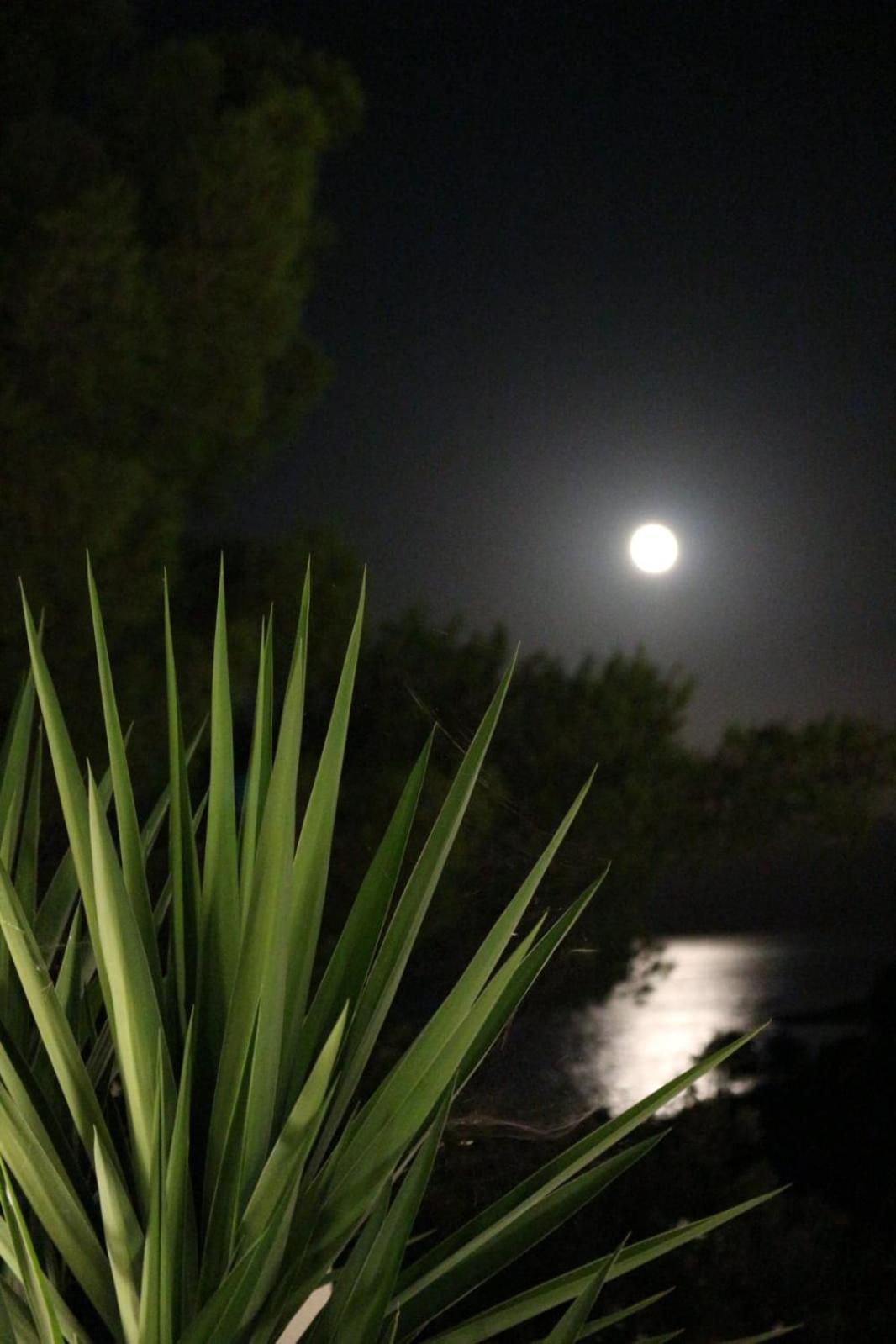 Holiday Hvar Vrbanj エクステリア 写真