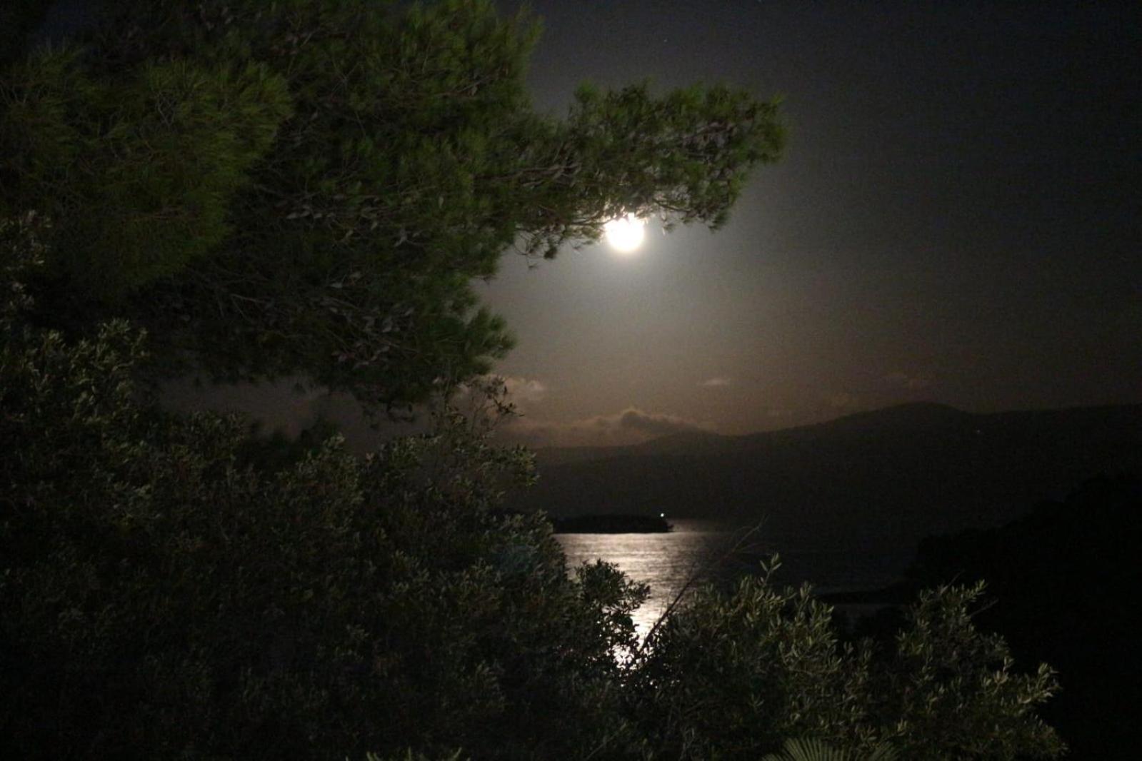 Holiday Hvar Vrbanj エクステリア 写真